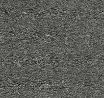 Ковролин AW Invictus Heroicus 95 фото 1 | FLOORDEALER